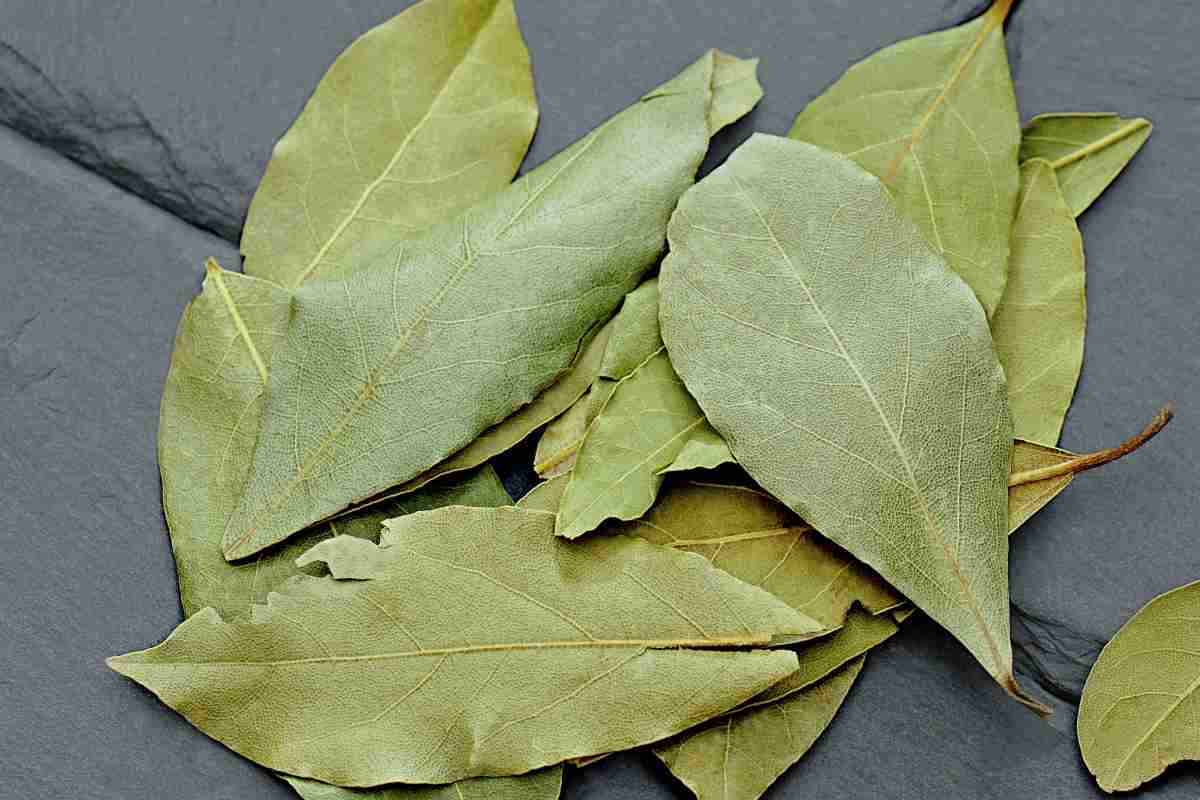 Pavimenti brillanti, dimentica il detersivo