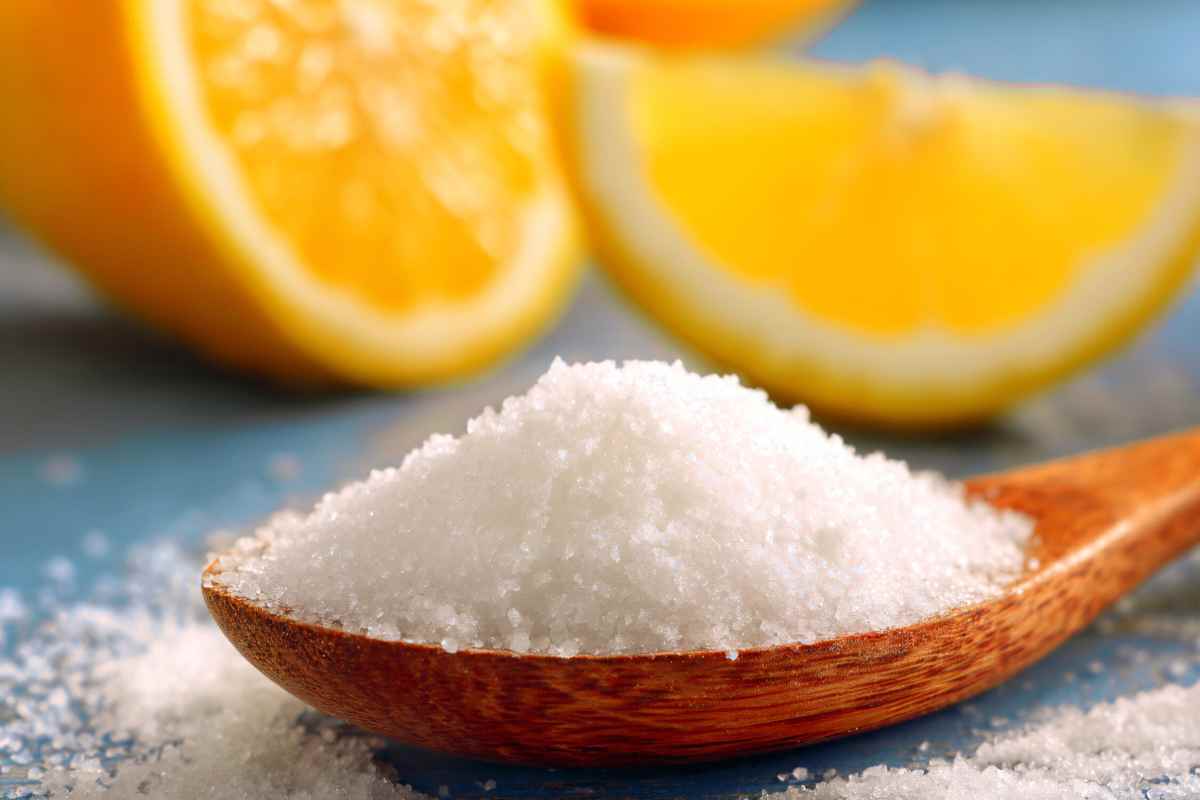 Come togliere la muffa dai vestiti con un ingrediente che hai già in casa, tutti i dettagli