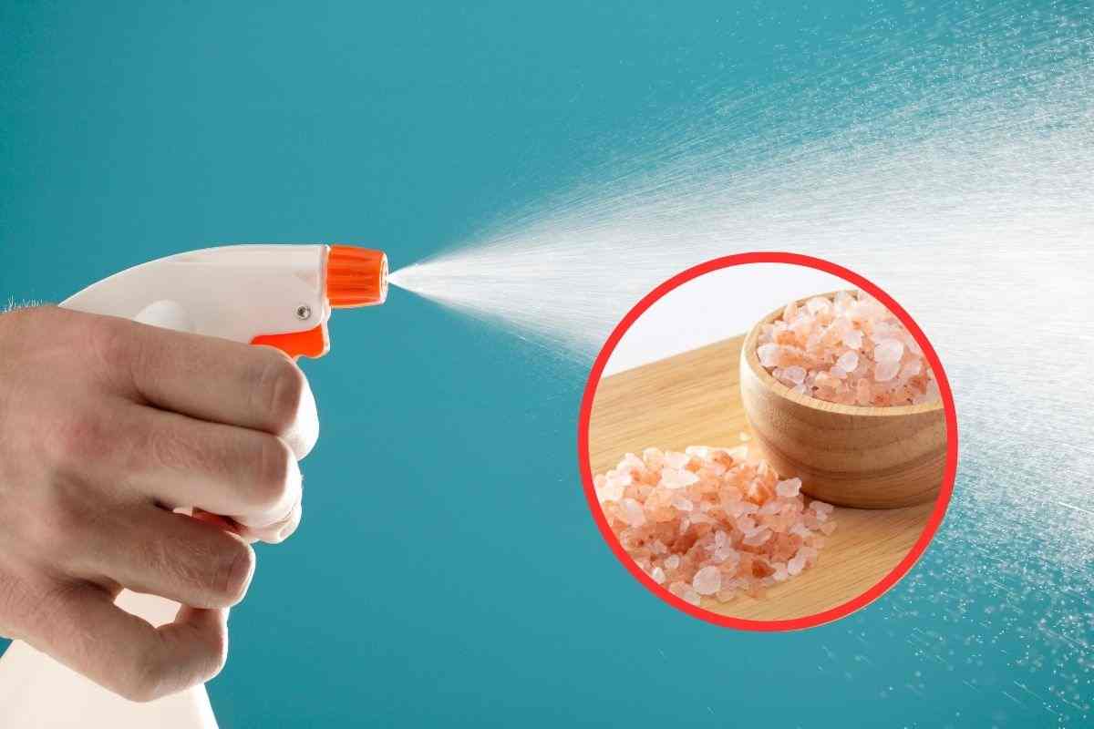 acqua e sale per purificare e pulire casa