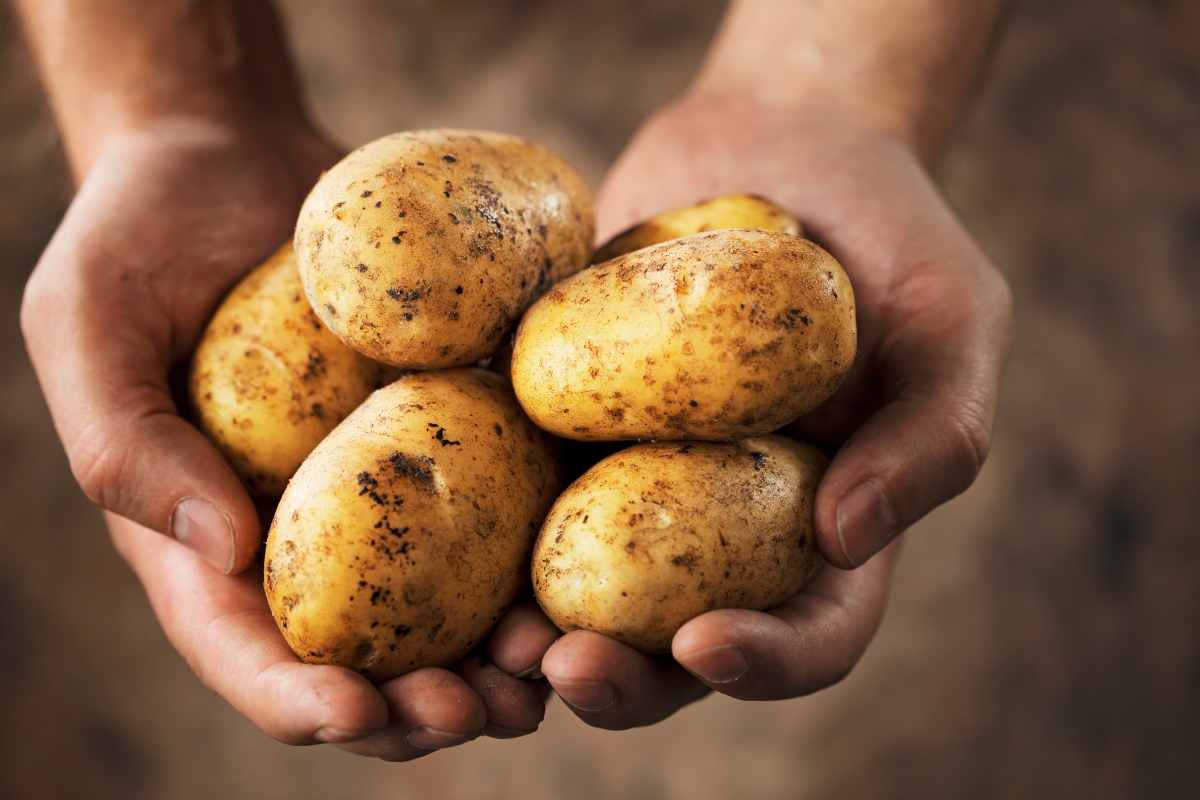 patate trucco pulizia