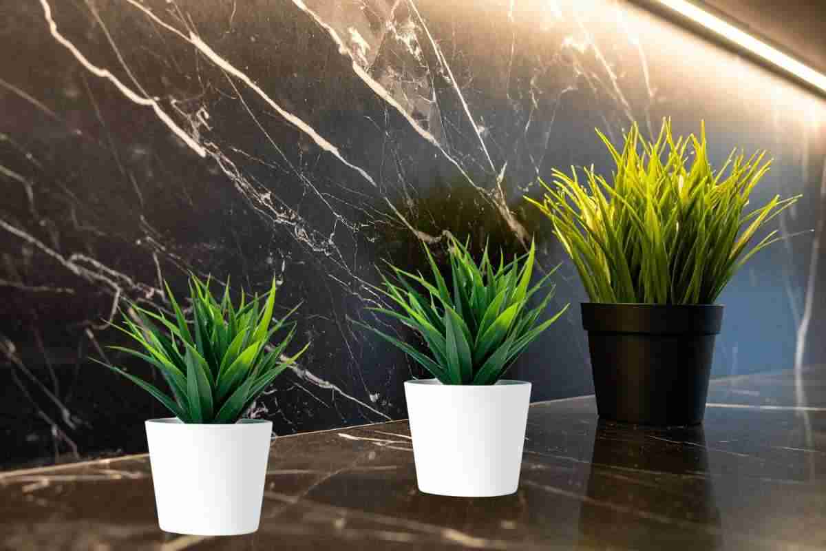 Piante artificiali, decorative in casa ma cumuli di polvere, tutti i dettagli