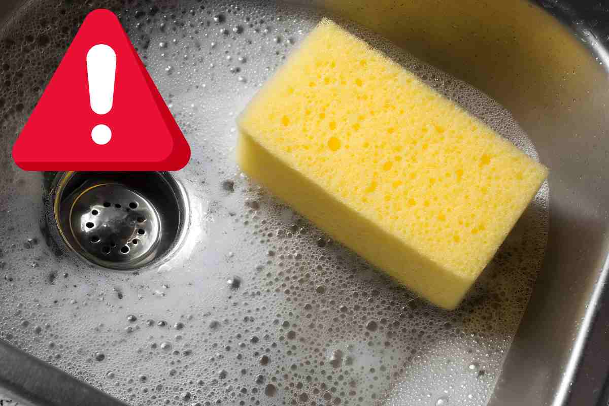 Lo facciamo tutti, l’errore che rende la spugnetta più sporca del lavandino