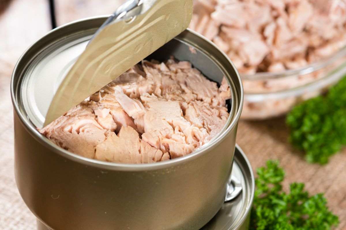 tonno in scatola il migliore secondo altroconsuma